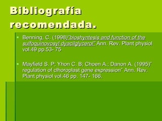 Bibliografía recomendada. Benning, C. (1998 )”bioshyntesis and function of the sulfoquinovosyl dyacilglycerol”  Ann. Rev. Plant physiol vol.49 pp.53- 75 Mayfield S. P; Yhon C. B; Choen A.; Danon A. (1995)” regulation of clhoroplast gene expression” Ann. Rev. Plant physiol vol.46 pp. 147- 166. 