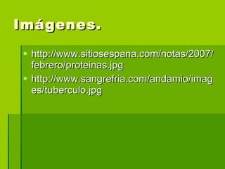 Imágenes. http://www.sitiosespana.com/notas/2007/febrero/proteinas.jpg http://www.sangrefria.com/andamio/images/tuberculo.jpg 