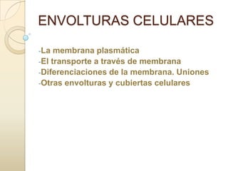 ENVOLTURAS CELULARES
-La

membrana plasmática
-El transporte a través de membrana
-Diferenciaciones de la membrana. Uniones
-Otras envolturas y cubiertas celulares

 