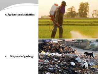 v. Agricultural activities
vi. Disposal of garbage
 