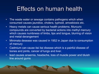 Effects on human health
Effects on human health
• The waste water or sewage contains pathogens which when
consumed causes jaundice, cholera, typhoid, amoebiosis etc.
• Heavy metals can cause serious health problems. Murcuric
compounds are converted by bacterial actions into methyl mercury
which causes numbness of limbs, lips and tongue, blurring of vision
and metal derangement
• Minimata desease was caused in 1952 in Japan due to consumption
of mercury
• Cadmium can cause itai itai disease which is a painful disease of
bones and joints, cancer of lungs and liver.
• lead causes anaemia, headache, loss of muscle power and bluish
line around gums
 