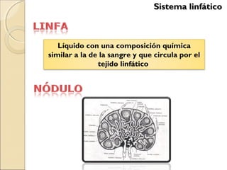 Sistema linfáticoSistema linfático
Líquido con una composición química
similar a la de la sangre y que circula por el
tejido linfático
 