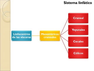 Sistema linfáticoSistema linfático
 