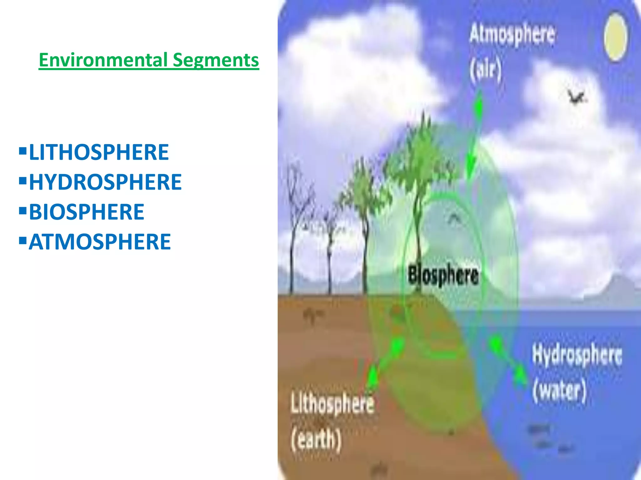 Environmental SegmentsLITHOSPHERE