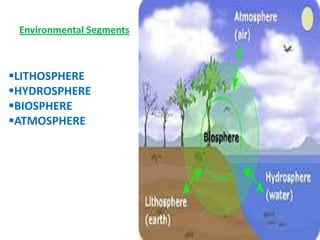 Environmental SegmentsLITHOSPHERE