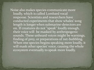 Noise also makes species communicate more
loudly, which is called Lombard vocal
response. Scientists and researchers have
conducted experiments that show whales' song
length is longer when submarine-detectors are
on. If creatures do not "speak" loudly enough,
their voice will be masked by anthropogenic
sounds. These unheard voices might be warnings,
finding of prey, or preparations of net-bubbling.
When one species begins speaking more loudly, it
will mask other species' voice, causing the whole
ecosystem eventually to speak more loudly.
 