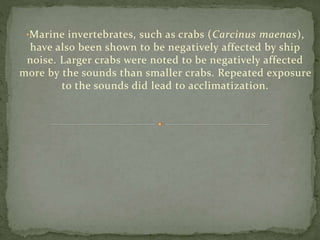 •Marine invertebrates, such as crabs (Carcinus maenas),
have also been shown to be negatively affected by ship
noise. Larger crabs were noted to be negatively affected
more by the sounds than smaller crabs. Repeated exposure
to the sounds did lead to acclimatization.
 