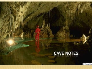 Cave Notes! 