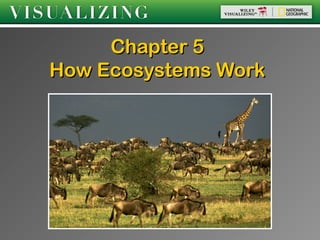 Chapter 5
How Ecosystems Work
 