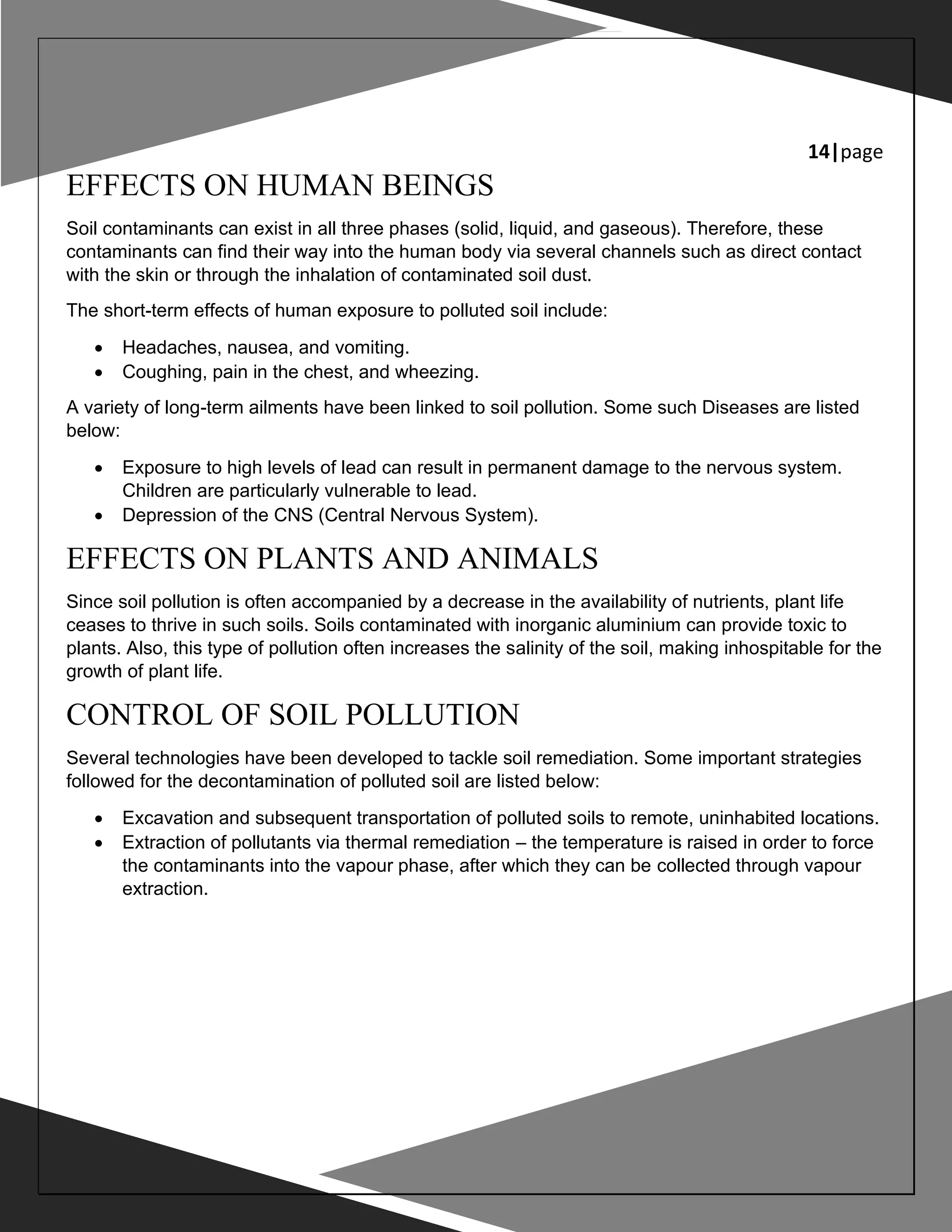 Pollution - Environmental Studies Project | PDF