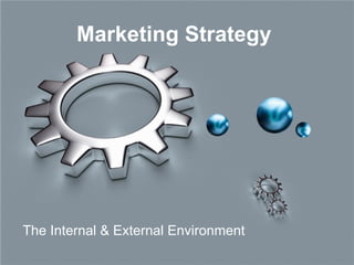 Marketing Strategy  The Internal & External Environment  