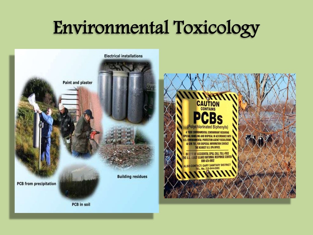 Environmental Toxicology