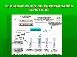 3) DIAGNÓSTICO DDEE EENNFFEERRMMIIDDAADDEESS 
XXEENNÉÉTTIICCAASS 
 