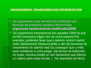 ORGANISMOS TRANSXÉNICOS:INTRODUCIÓN 
 Os organismos cuxo xenoma ffooii mmooddiiffiiccaaddoo ppoorr 
ttééccnniiccaass ddee eennxxeeññaarrííaa xxeennééttiiccaa ddeennoommíínnaassee 
oorrggaanniissmmoo xxeennééttiiccaammeennttee mmooddiiffiiccaaddoo((OOXXMM)).. 
 Os organismos transxénicos son aqueles OXM ós que 
se lles incorporou algún xen de outra especie.Por 
exemplo ,podemos facer que o salmón común medre 
máis rápidamente introducíndolle o xen da hormona do 
crecemento do salmón real.Ou conseguir que o millo 
sexa resistente a unha praga das larvas da bolboreta 
do trade, introducíndolle un xen bacteriano que fabrica 
un veleno para estas larvas. ( Ver exemplos do libro). 
 