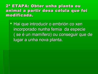 2ª ETAPA: Obter uunnhhaa ppllaannttaa oouu 
aanniimmaall aa ppaarrttiirr ddeessaa ccéélluullaa qquuee ffooii 
mmooddiiffiiccaaddaa.. 
 HHaaii qquuee iinnttrroodduucciirr oo eemmbbrriióónn ccoo xxeenn 
iinnccoorrppoorraaddoo nnuunnhhaa ffeemmiiaa ddaa eessppeecciiee 
(( ssee éé uunn mmaammííffeerroo)) oouu ccoonnsseegguuiirr qquuee ddee 
lluuggaarr aa uunnhhaa nnoovvaa ppllaannttaa.. 
 