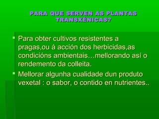 PARA QUE SSEERRVVEENN AASS PPLLAANNTTAASS 
TTRRAANNSSXXÉÉNNIICCAASS?? 
 PPaarraa oobbtteerr ccuullttiivvooss rreessiisstteenntteess aa 
pprraaggaass,,oouu áá aacccciióónn ddooss hheerrbbiicciiddaass,,aass 
ccoonnddiicciióónnss aammbbiieennttaaiiss……mmeelllloorraannddoo aassíí oo 
rreennddeemmeennttoo ddaa ccoolllleeiittaa.. 
 MMeelllloorraarr aallgguunnhhaa ccuuaalliiddaaddee dduunn pprroodduuttoo 
vveexxeettaall :: oo ssaabboorr,, oo ccoonnttiiddoo eenn nnuuttrriieenntteess.... 
 