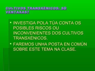 CULTIVOS TTRRAANNSSXXÉÉNNIICCOOSS:: SSÓÓ 
VVEENNTTAAXXAASS?? 
 IINNVVEESSTTIIGGAA PPOOLLAA TTÚÚAA CCOONNTTAA OOSS 
PPOOSSIIBBLLEESS RRIISSCCOOSS OOUU 
IINNCCOONNVVEENNIIEENNTTEESS DDOOSS CCUULLTTIIVVOOSS 
TTRRAANNSSXXÉÉNNIICCOOSS.. 
 FFAARREEMMOOSS UUNNHHAA PPOOSSTTAA EENN CCOOMMÚÚNN 
SSOOBBRREE EESSTTEE TTEEMMAA NNAA CCLLAASSEE.. 
 