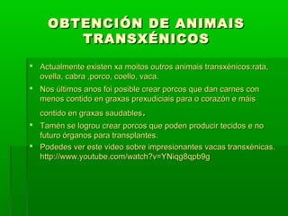 OBTENCIÓN DDEE AANNIIMMAAIISS 
TTRRAANNSSXXÉÉNNIICCOOSS 
 AAccttuuaallmmeennttee eexxiisstteenn xxaa mmooiittooss oouuttrrooss aanniimmaaiiss ttrraannssxxéénniiccooss::rraattaa,, 
oovveellllaa,, ccaabbrraa ,,ppoorrccoo,, ccooeelllloo,, vvaaccaa.. 
 NNooss úúllttiimmooss aannooss ffooii ppoossiibbllee ccrreeaarr ppoorrccooss qquuee ddaann ccaarrnneess ccoonn 
mmeennooss ccoonnttiiddoo eenn ggrraaxxaass pprreexxuuddiicciiaaiiss ppaarraa oo ccoorraazzóónn ee mmááiiss 
ccoonnttiiddoo eenn ggrraaxxaass ssaauuddaabblleess.. 
 TTaamméénn ssee llooggrroouu ccrreeaarr ppoorrccooss qquuee ppooddeenn pprroodduucciirr tteecciiddooss ee nnoo 
ffuuttuurroo óórrggaannooss ppaarraa ttrraannssppllaanntteess.. 
 PPooddeeddeess vveerr eessttee vviiddeeoo ssoobbrree iimmpprreessiioonnaanntteess vvaaccaass ttrraannssxxéénniiccaass.. 
hhttttpp::////wwwwww..yyoouuttuubbee..ccoomm//wwaattcchh??vv==YYNNiiqqgg88qqppbb99gg 
 