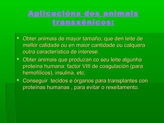 Aplicacións dos animais 
transxénicos: 
 Obter animais de mayor tamaño, qquuee ddeenn lleeiittee ddee 
mmeelllloorr ccaalliiddaaddee oouu eenn mmaaiioorr ccaannttiiddaaddee oouu ccaallqquueerraa 
oouuttrraa ccaarraacctteerrííssttiiccaa ddee iinntteerreessee.. 
 OObbtteerr aanniimmaaiiss qquuee pprroodduuzzaann ccoo sseeuu lleeiittee aallgguunnhhaa 
pprrootteeíínnaa hhuummaannaa:: ffaaccttoorr VVIIIIII ddee ccooaagguullaacciióónn ((ppaarraa 
hheemmooffíílliiccooss)),, iinnssuulliinnaa,, eettcc.. 
 CCoonnsseegguuiirr tteecciiddooss ee óórrggaannooss ppaarraa ttrraannssppllaanntteess ccoonn 
pprrootteeíínnaass hhuummaannaass ,, ppaarraa eevviittaarr oo rreexxeeiittaammeennttoo.. 
 