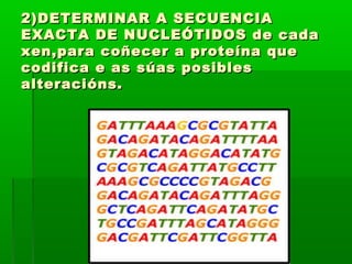 2)DETERMINAR AA SSEECCUUEENNCCIIAA 
EEXXAACCTTAA DDEE NNUUCCLLEEÓÓTTIIDDOOSS ddee ccaaddaa 
xxeenn,,ppaarraa ccooññeecceerr aa pprrootteeíínnaa qquuee 
ccooddiiffiiccaa ee aass ssúúaass ppoossiibblleess 
aalltteerraacciióónnss.. 
 