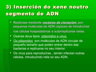 3) Inserción ddoo xxeennee nnoouuttrroo 
sseeggmmeennttoo ddee AADDNN 
 RReeaallíízzaassee mmeeddiiaannttee vveeccttoorreess ddee cclloonnaacciióónn:: ssoonn 
ppeeqquueennaass mmoollééccuullaass ddee AADDNN ccaappaacceess ddee iinnttrroodduucciirrssee 
nnaass ccéélluullaass hhoossppeeddaaddoorraass ee aauuttoorrrreepplliiccaarrssee nneellaass.. 
 Úsanse dous tipos: plásmidos e virus. 
 Os plásmidos son moléculas de ADN circular de 
pequeño tamaño que poden entrar dentro das 
bacterias e replicarse no seu interior. 
 Os virus para reproducirse , tamén infectan outras 
células, intruducindo nela so seu ADN. 
 