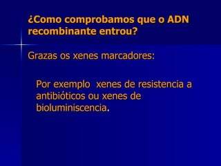 ¿Como comprobamos que o ADN recombinante entrou? Grazas os xenes marcadores: Por exemplo  xenes de resistencia a antibióticos ou xenes de bioluminiscencia . 