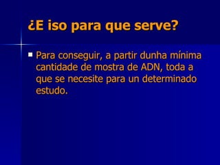 ¿E iso para que serve? Para conseguir, a partir dunha mínima cantidade de mostra de ADN, toda a que se necesite para un determinado estudo.  