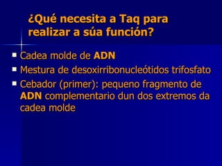 ¿Qué necesita a Taq para realizar a súa función? Cadea molde de  ADN Mestura de desoxirribonucleótidos trifosfato Cebador (primer): pequeno fragmento de  ADN  complementario dun dos extremos da cadea molde 