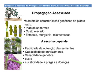 Princípios e Técnicas da Propagaçao de Plantas Profa. Luciane Vilela Resende DAG/UFLA
Propagação Assexuada
Mantem as características genéticas da planta-
matriz
Plantas uniformes
Custo elevado
Estaquia, mergulhia, microestacas
A escolha depende:
Facilidade de obtenção das sementes
Capacidade de enraizamento
Variabilidade genética
custo
sucetibilidade a pragas e doenças
 