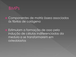  Componentes de matriz óssea associados
às fibrilas de colágeno
 Estimulam a formação de osso pela
indução de células indiferenciadas da
medula a se transformarem em
osteoblastos
 