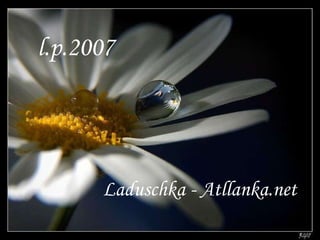 Laduschka - Atllanka.net l.p.2007 