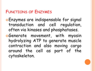 FUNCTIONS OF ENZYMES
Enzymes are indispensable for signal
transduction and cell regulation,
often via kinases and phosphatases.
Generate movement, with myosin
hydrolyzing ATP to generate muscle
contraction and also moving cargo
around the cell as part of the
cytoskeleton.
 