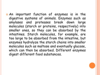  An important function of enzymes is in the
digestive systems of animals. Enzymes such as
amylases and proteases break down large
molecules (starch or proteins, respectively) into
smaller ones, so they can be absorbed by the
intestines. Starch molecules, for example, are
too large to be absorbed from the intestine, but
enzymes hydrolyze the starch chains into smaller
molecules such as maltose and eventually glucose,
which can then be absorbed. Different enzymes
digest different food substances.
 