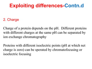 Exploiting differences-Contn.d
2. Charge
Charge of a protein depends on the pH. Different proteins
with different charges at the same pH can be separated by
ion exchange chromatography
Proteins with different isoelectric points (pH at which net
charge is zero) can be sperated by chromatofocusing or
isoelectric focusing
 