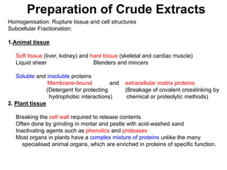 Preparation of Crude Extracts
Homogenisation: Rupture tissue and cell structures
Subcellular Fractionation:
1.Animal tissue
Soft tissue (liver, kidney) and hard tissue (skeletal and cardiac muscle)
Liquid sheer Blenders and mincers
Soluble and insoluble proteins
Membrane-bound and extracellular matrix proteins
(Detergent for protecting (Breakage of covalent crosslinking by
hydrophobic interactions) chemical or proteolytic methods)
2. Plant tissue
Breaking the cell wall required to release contents
Often done by grinding in mortar and pestle with acid-washed sand
Inactivating agents such as phenolics and proteases
Most organs in plants have a complex mixture of proteins unlike the many
specialised animal organs, which are enriched in proteins of specific function.
 