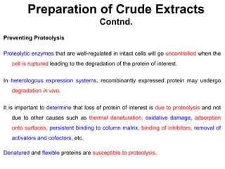 Preparation of Crude Extracts
Contnd.
Preventing Proteolysis
Proteolytic enzymes that are well-regulated in intact cells will go uncontrolled when the
cell is ruptured leading to the degradation of the protein of interest.
In heterologous expression systems, recombinantly expressed protein may undergo
degradation in vivo.
It is important to determine that loss of protein of interest is due to proteolysis and not
due to other causes such as thermal denaturation, oxidative damage, adsorption
onto surfaces, persistent binding to column matrix, binding of inhibitors, removal of
activators and cofactors, etc.
Denatured and flexible proteins are susceptible to proteolysis.
 