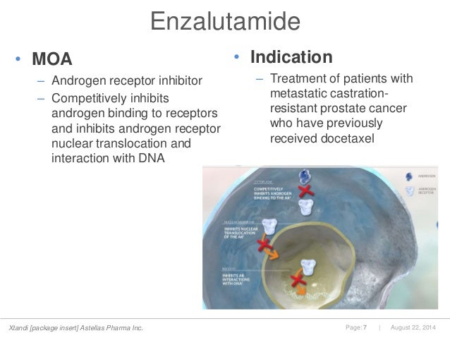 Enzalutamide in Metastatic Prostate Cancer Before Chemotherapy