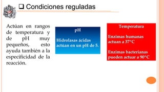  Condiciones reguladas
Actúan en rangos
de temperatura y
de
pH
muy
pequeños,
esto
ayuda también a la
especificidad de la
reacción.

 