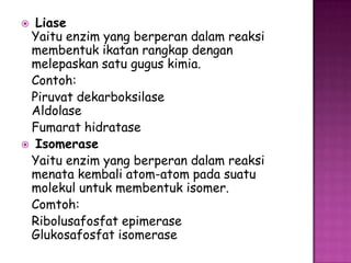  Liase
 Yaitu enzim yang berperan dalam reaksi
 membentuk ikatan rangkap dengan
 melepaskan satu gugus kimia.
 Contoh:
 Piruvat dekarboksilase
 Aldolase
 Fumarat hidratase
 Isomerase
 Yaitu enzim yang berperan dalam reaksi
 menata kembali atom-atom pada suatu
 molekul untuk membentuk isomer.
 Comtoh:
 Ribolusafosfat epimerase
 Glukosafosfat isomerase
 