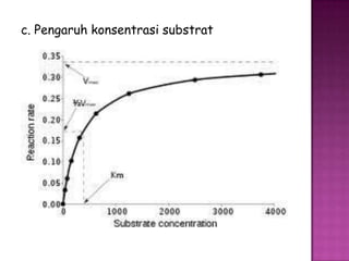 c. Pengaruh konsentrasi substrat
 