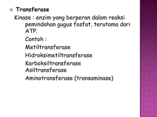    Transferase
    Kinase : enzim yang berperan dalam reaksi
        pemindahan gugus fosfat, terutama dari
        ATP.
        Contoh :
        Metiltransferase
        Hidroksimetiltransferase
        Karboksiltransferase
        Asiltransferase
        Aminotransferase (transaminase)
 
