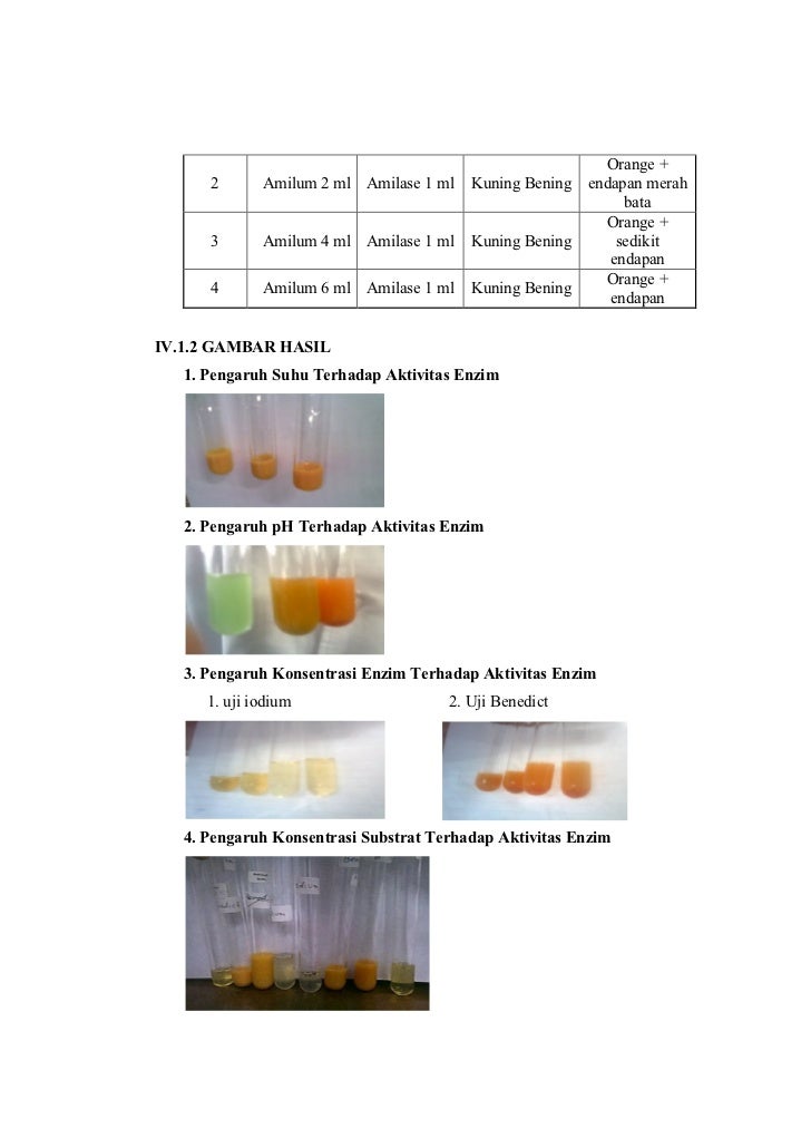 jurnal uji karbohidrat biokimia pdf jurnal uji karbohidrat biokimia pdf