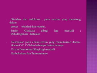 2.    Oksidase dan reduktase , yaitu enzime yang menolong
     dalam
      proses oksidasi dan reduksi.
      Enzim     Oksidase       dibagi  lagi   menjadi   ;
      Dehidrogenase , Katalase

3.    Desmolase yaitu enzim-enzim yang memutuskan ikatan-
      ikatan C-C, C-N dan beberapa ikatan lainnya.
      Enzim Desmolase dibagi lagi menjadi :
      Karboksilase dan Transaminase
 