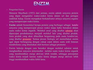    Pengertian Enzim
    Menurut Mayrback (1952) dari jerman, enzim adalah senyawa protein
    yang dapat mengatalisi reaksi-reaksi kimia dalam sel dan jaringan
    makhluk hidup. Enzim merupakan biokatalisator artinya senyawa organic
    yang mempercepat reaksi kimia.
   Enzim adalah biomolekul berupa protein yang berfungsi sebagai katalis
    senyawa yang mempercepat proses reaksi tanpa habis bereaksi) dalam
    suatu reaksi kimia organik. Molekul awal yang disebut substrat akan
    dipercepat perubahannya menjadi molekul lain yang disebut produk.
    Jenis produk yang akan dihasilkan bergantung pada suatu kondisi/zat,
    yang disebut promoter. Semua proses biologis sel memerlukan enzim
    agar dapat berlangsung dengan cukup cepat dalam suatu arah lintasan
    metabolisme yang ditentukan oleh hormon sebagai promoter.
   Enzim bekerja dengan cara bereaksi dengan molekul substrat untuk
    menghasilkan senyawa iintermediet melalui suatu reaksi kimia organik
    yang membutuhkan energi aktivasi lebih rendah, sehingga percepatan
    reaksi kimia terjadi karena reaksi kimia dengan energi aktivasi lebih
    tinggi membutuhkan waktu lebih lama.
 