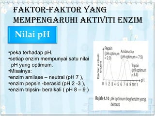 FAKTOR-FAKTOR YANG
MEMPENGARUHI AKTIVITI ENZIM

•peka terhadap pH.
•setiap enzim mempunyai satu nilai
pH yang optimum.
•Misalnya:
•enzim amilase – neutral (pH 7 ),
•enzim pepsin -berasid (pH 2 -3 ),
•enzim tripsin- beralkali ( pH 8 – 9 )

 
