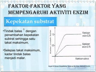 FAKTOR-FAKTOR YANG
MEMPENGARUHI AKTIVITI ENZIM

•Tindak balas dengan
penambahan kepekatan
subtrat sehingga satu
takat maksimum.
•Selepas takat maksimum,
kadar tindak balas
menjadi malar.
Rajah 8 Kesan Kepakatan Subtrat Ke Atas Aktiviti Enzim

 