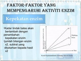 FAKTOR-FAKTOR YANG
MEMPENGARUHI AKTIVITI ENZIM

•Kadar tindak balas akan
bertambah dengan
penambahan
kepekatan enzim
•jumlah bilangan enzim
x2, subtrat yang
ditukarkan kepada hasil
x2
Kesan KepekatanEnzim Terhadap Aktiviti Enzim

 