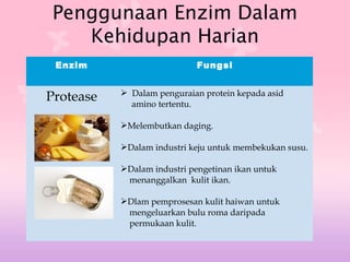 Penggunaan Enzim Dalam
Kehidupan Harian
Enzim

Protease

Fungsi
 Dalam penguraian protein kepada asid
amino tertentu.
Melembutkan daging.
Dalam industri keju untuk membekukan susu.
Dalam industri pengetinan ikan untuk
menanggalkan kulit ikan.
Dlam pemprosesan kulit haiwan untuk
mengeluarkan bulu roma daripada
permukaan kulit.

 