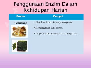 Penggunaan Enzim Dalam
Kehidupan Harian
Enzim
Enzim

Selulase
Protease

Fungsi
Fungsi
 Untuk melembutkan sayur-sayuran.
 Dalam penguraian protein kepada asid
aminoMengeluarkan kulit bijiran.
 tertentu.
Melembutkan daging.
Dalam industri kejuagar-agar dari rumpaisusu.
Pengekstrakan untuk membekukan laut.
Dalam industri pengetinan ikan untuk
menggalkan kulit ikan.
Dlam pemprosesan kulit haiwan untuk
mengeluarkan bulu roma daripada permukaan
kulit.

 