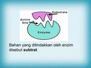 Bahan yang ditindakkan oleh enzim
disebut subtrat.

 